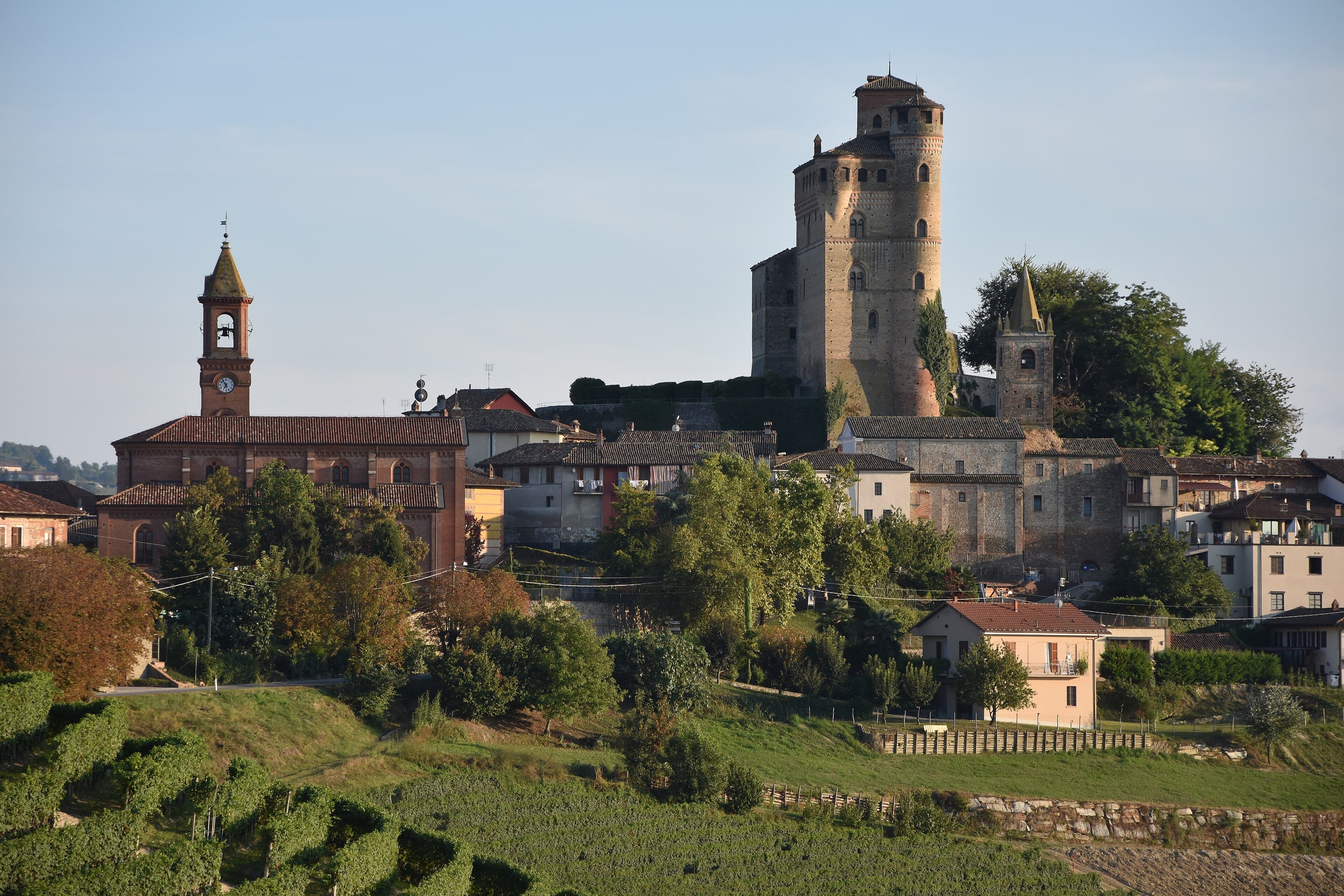 Vinhedos em Serralunga d'Alba